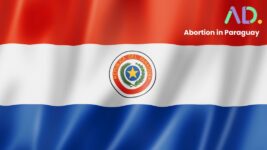 Bandera de Paraguay con el emblema nacional en el centro; en la esquina superior derecha aparece el texto "Aborto en Paraguay" junto a un colorido logotipo "AD", que hace referencia a la Ley de aborto en Paraguay y a los Métodos de aborto en Paraguay.