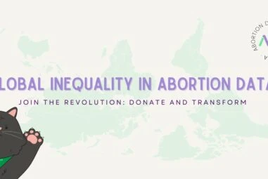 Global Inequality in Abortion Data
